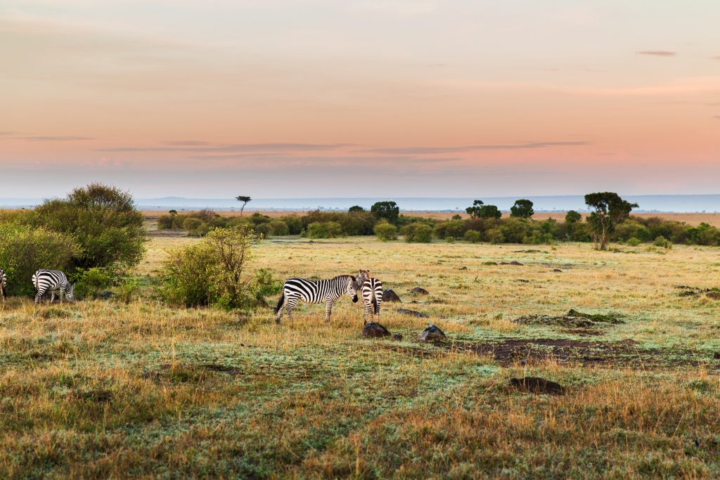 Africa PrePay